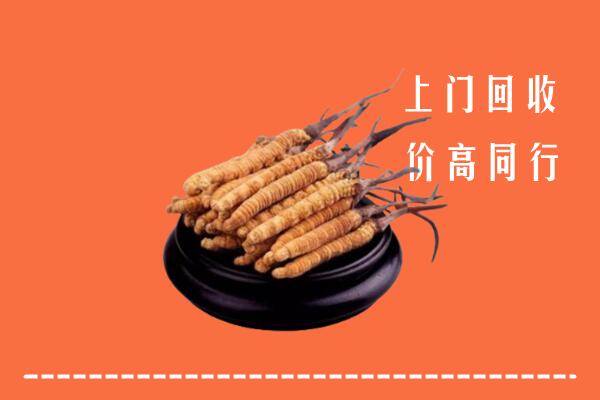 附近收购：惠来县冬虫夏草回收多少钱每克