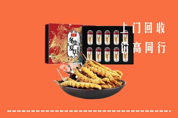 高价求购：惠来县回收虫草